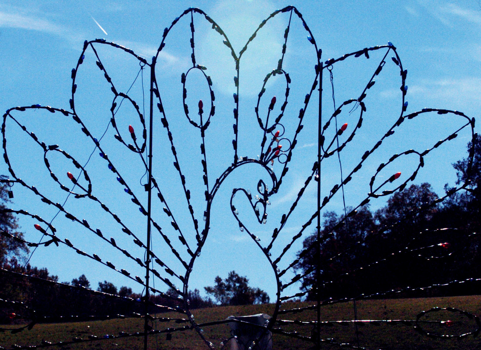 TANGLEWOOD LIGHTS 2005